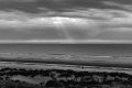 DSC_0087