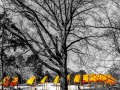 27__0058-Druck-BW