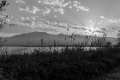 DSC03505