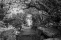 DSC_0071
