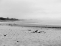 dsc_0793