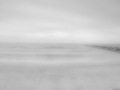 DSC_0273