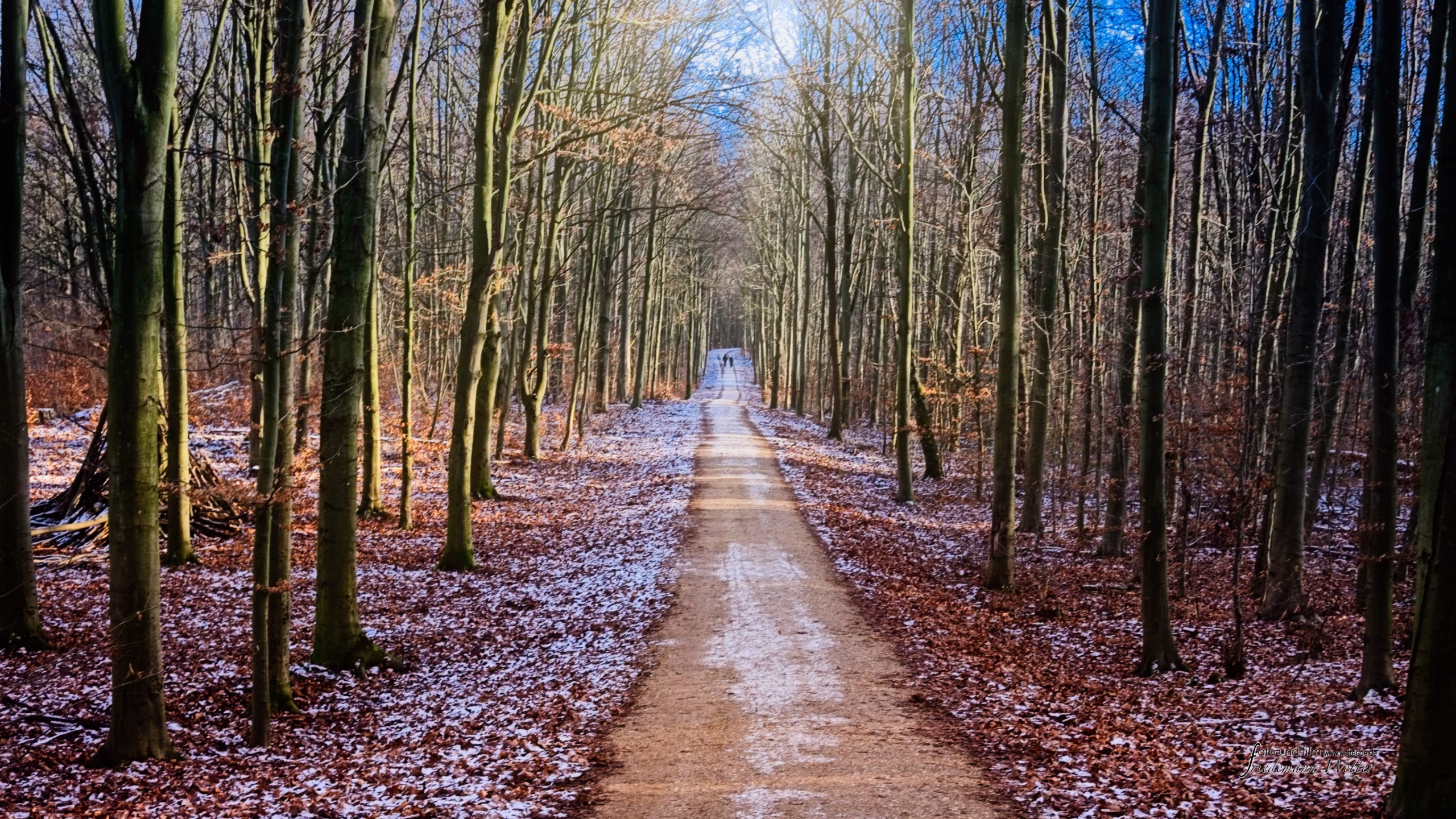 DSCF8117_X-E2v1.raf_16x9