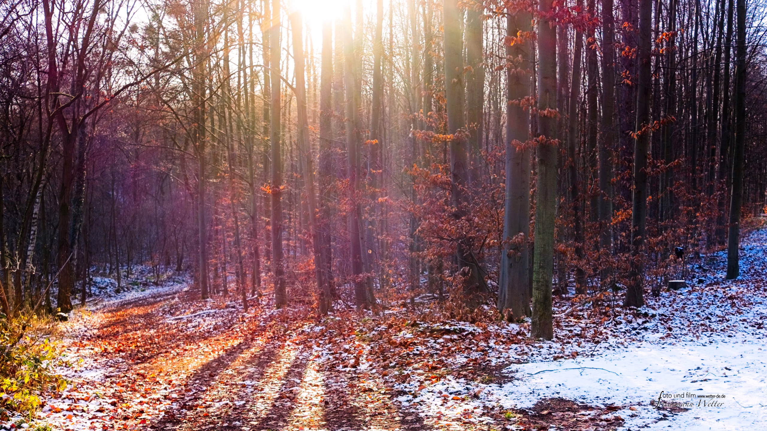 DSCF8118_X-E2v1.raf_16x9