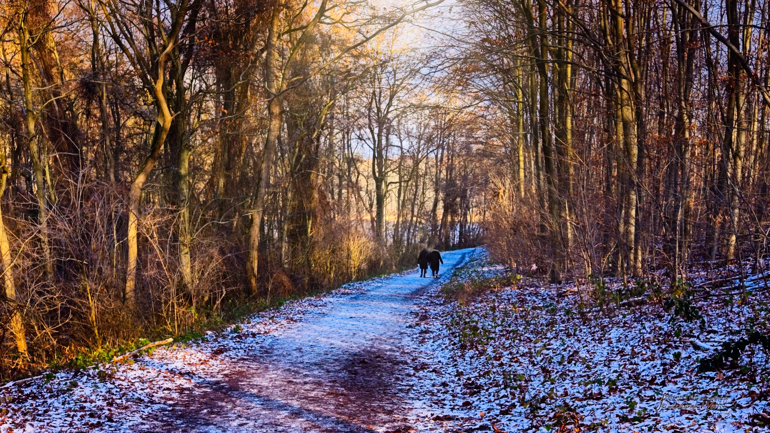 DSCF8120_X-E2v1.raf_16x9