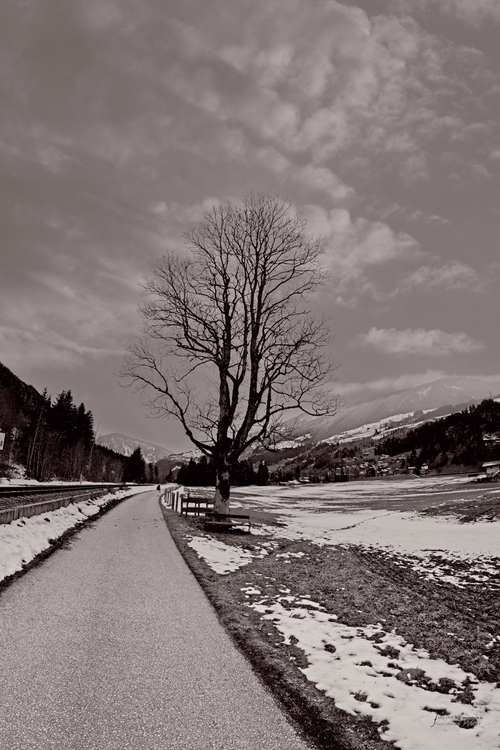 DSCF1889_X-t5