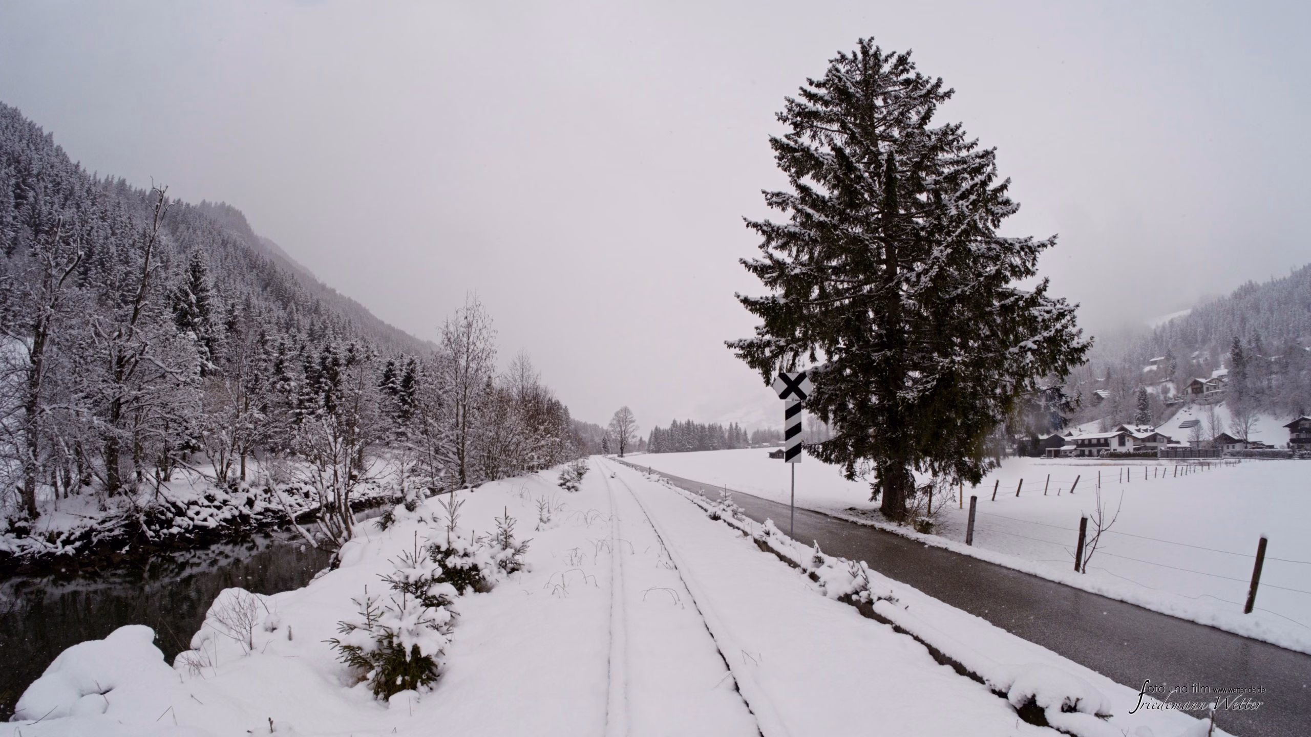 DSCF1909_X-t5