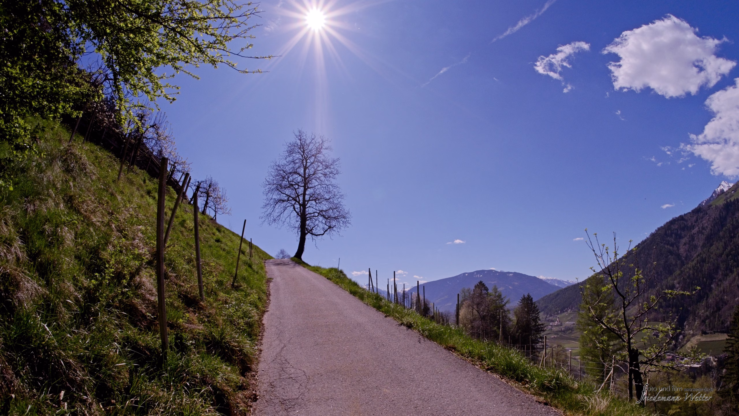 DSCF1944_X-T5