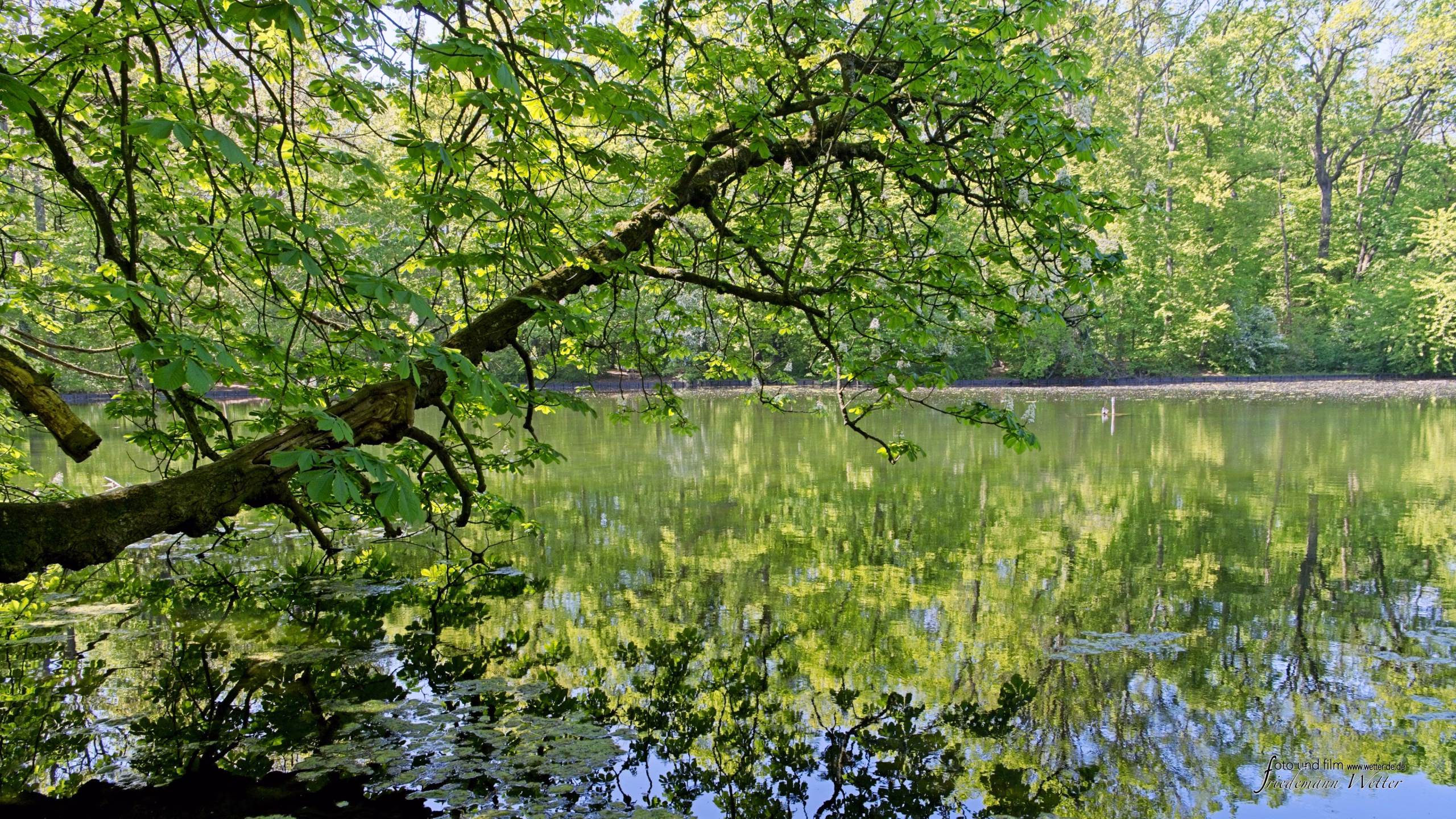 DSCF2114_X-T5
