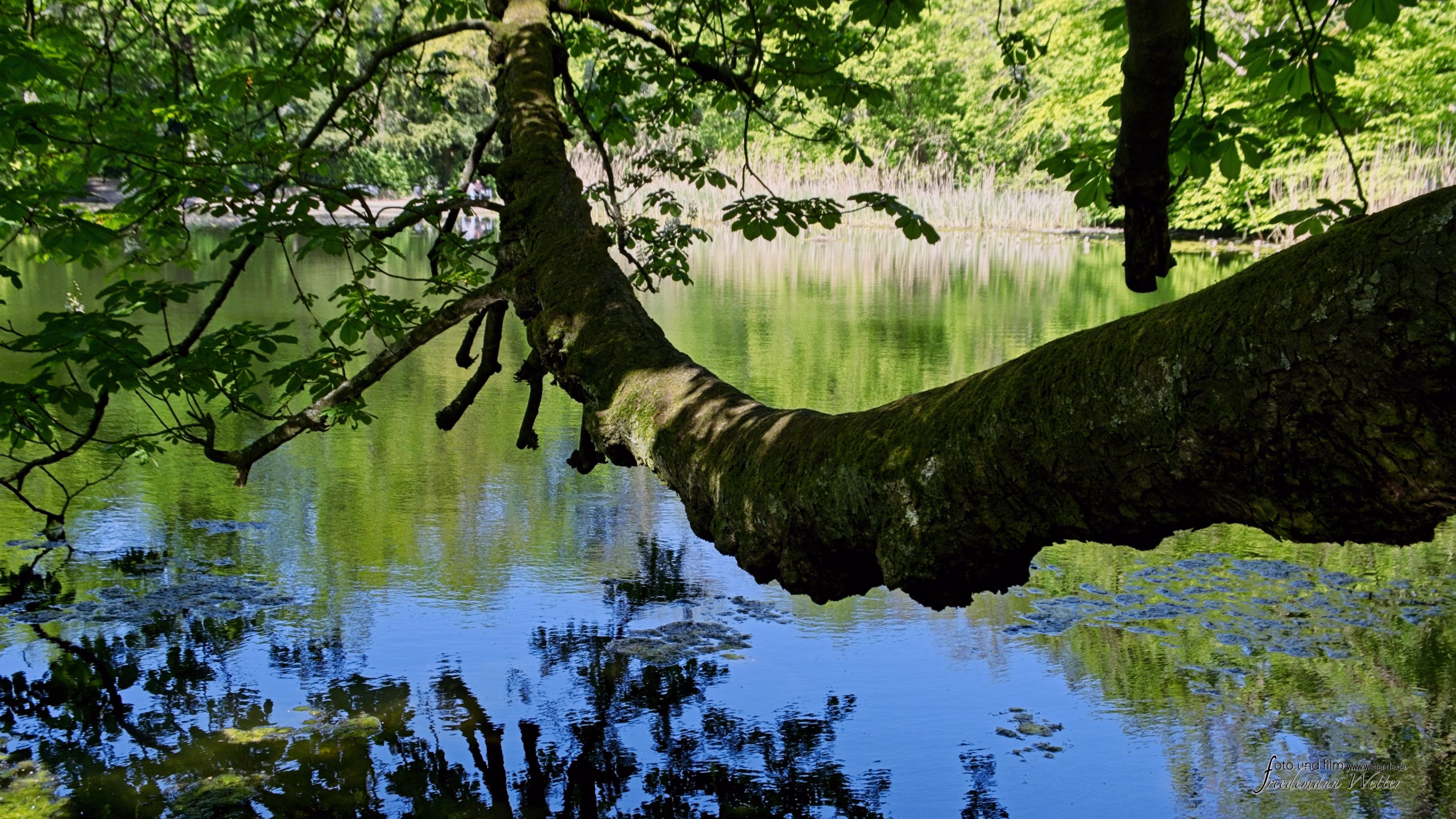 DSCF2117_X-T5