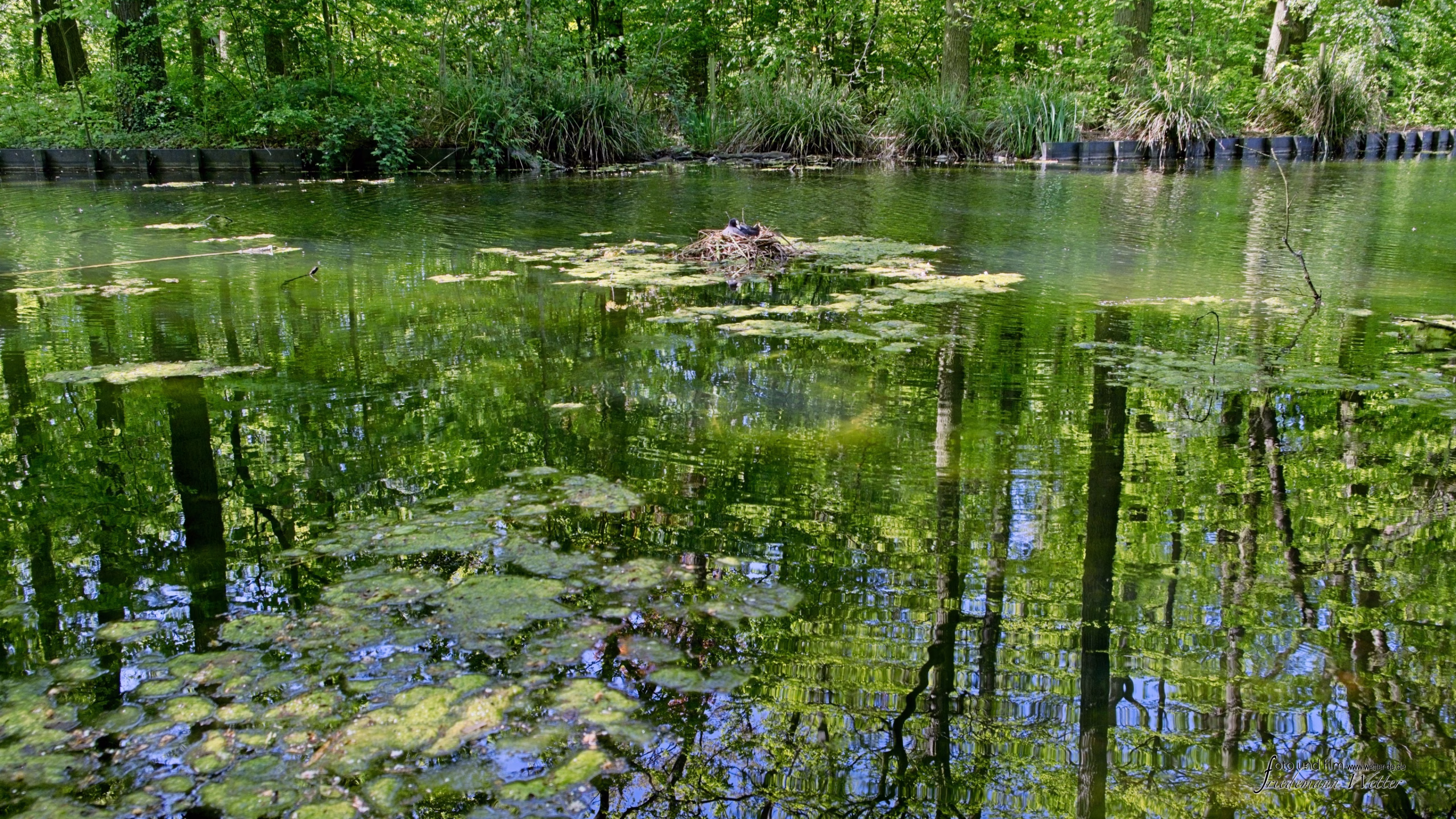 DSCF2126_X-T5