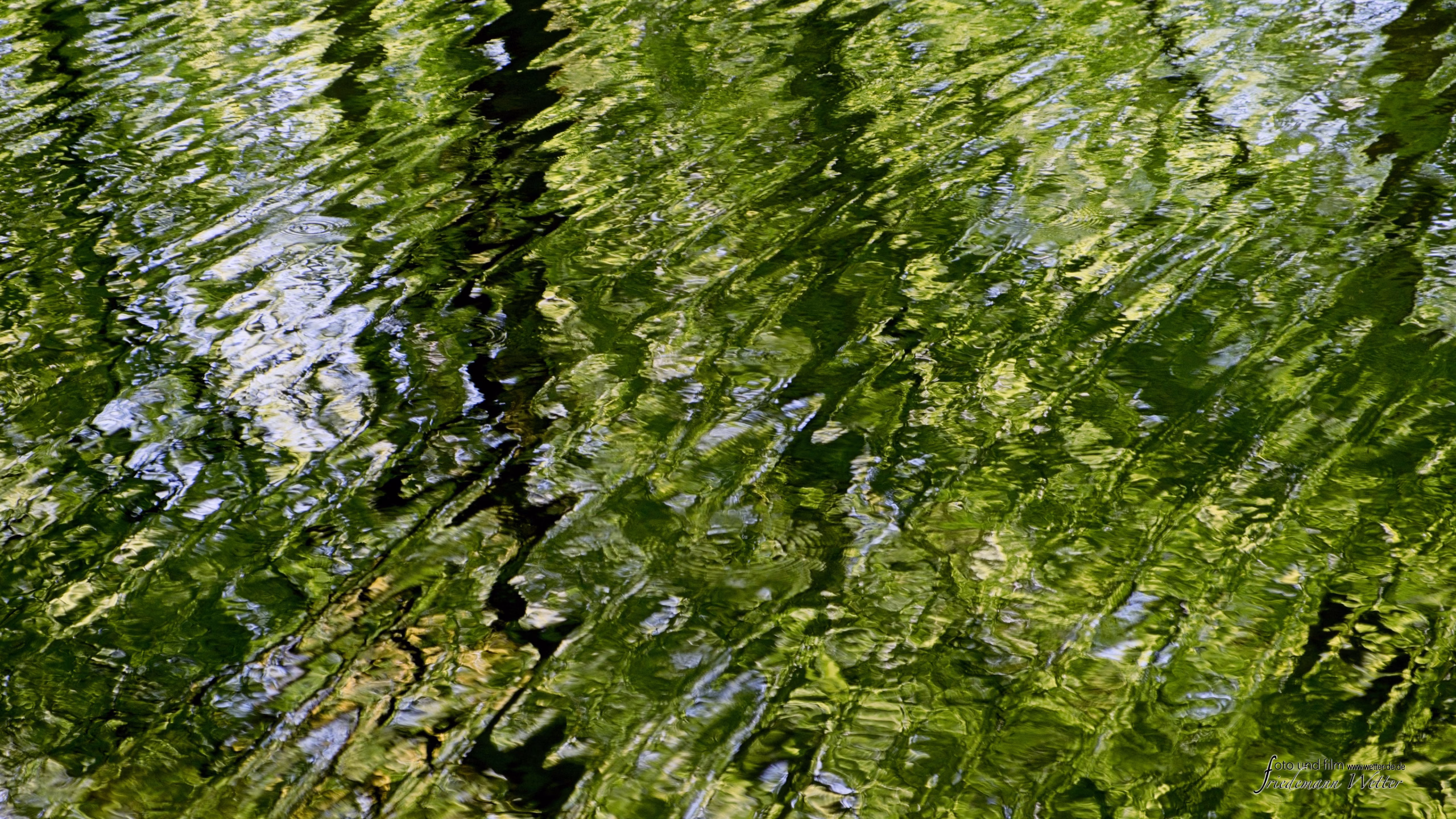 DSCF2131_X-T5