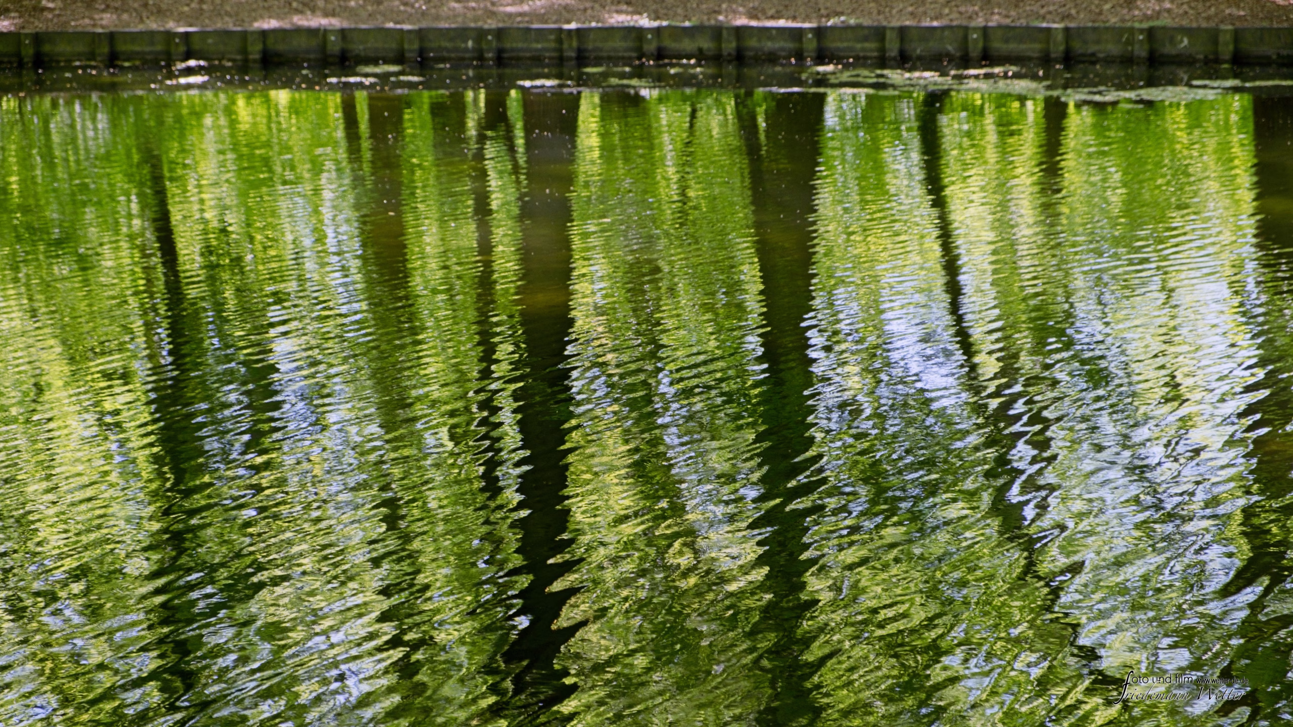 DSCF2132_X-T5