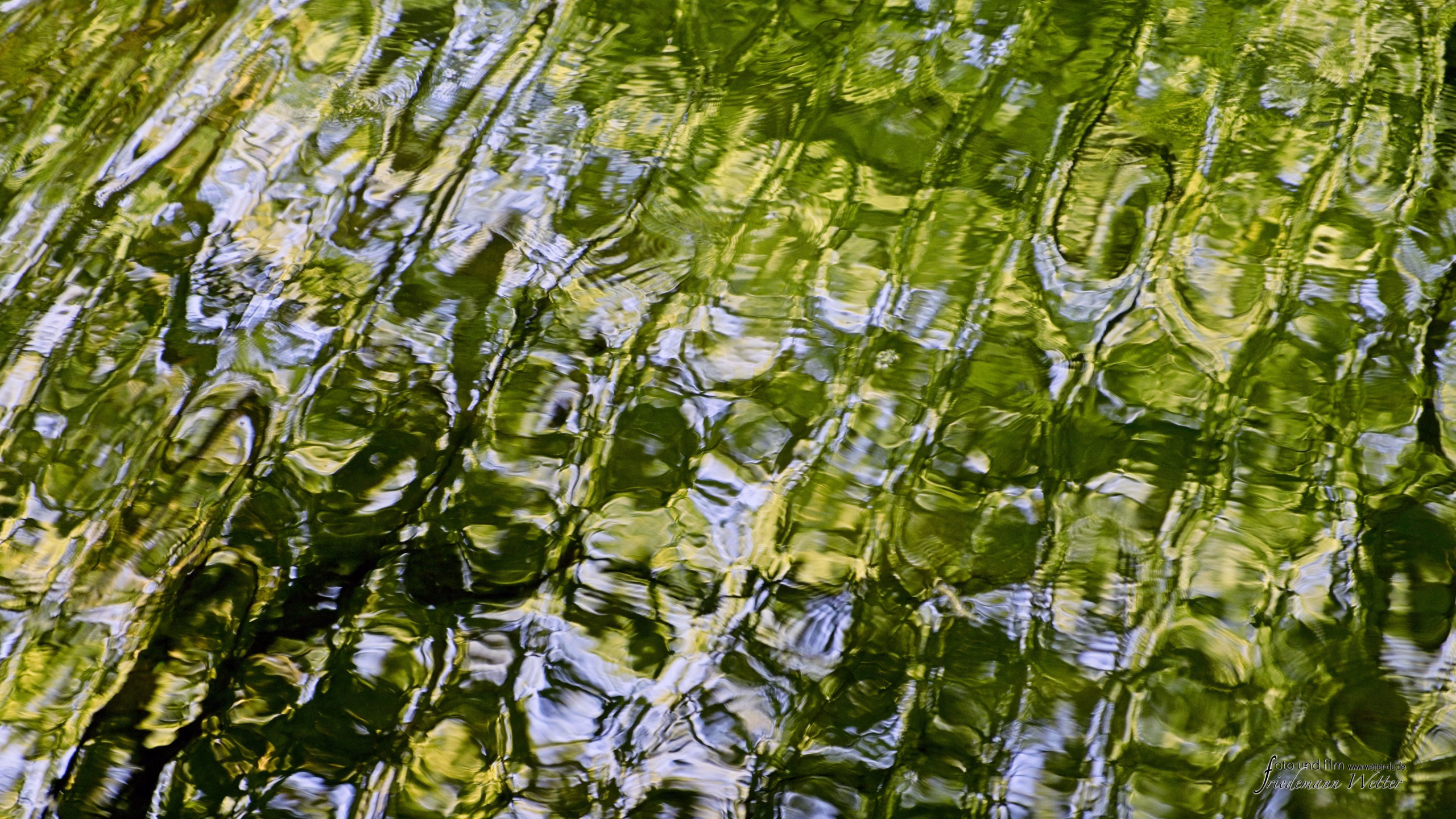 DSCF2134_X-T5