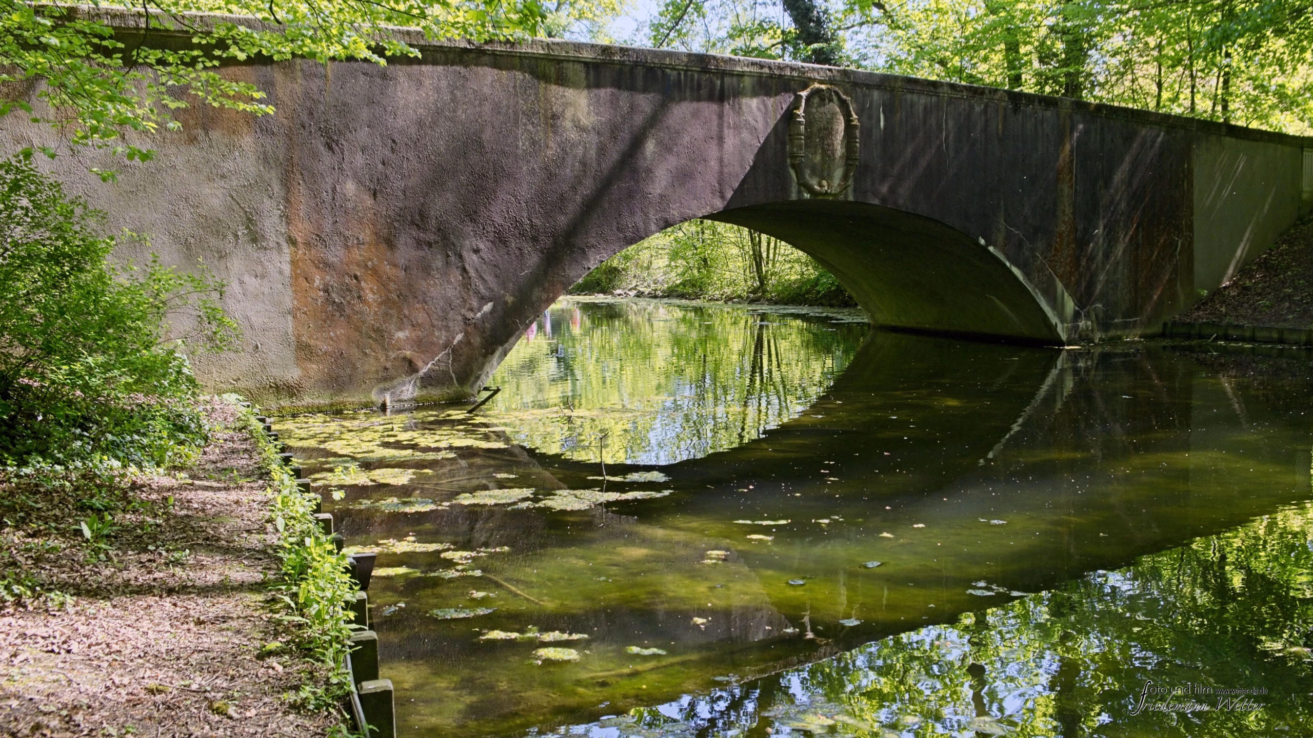 DSCF2136_X-T5