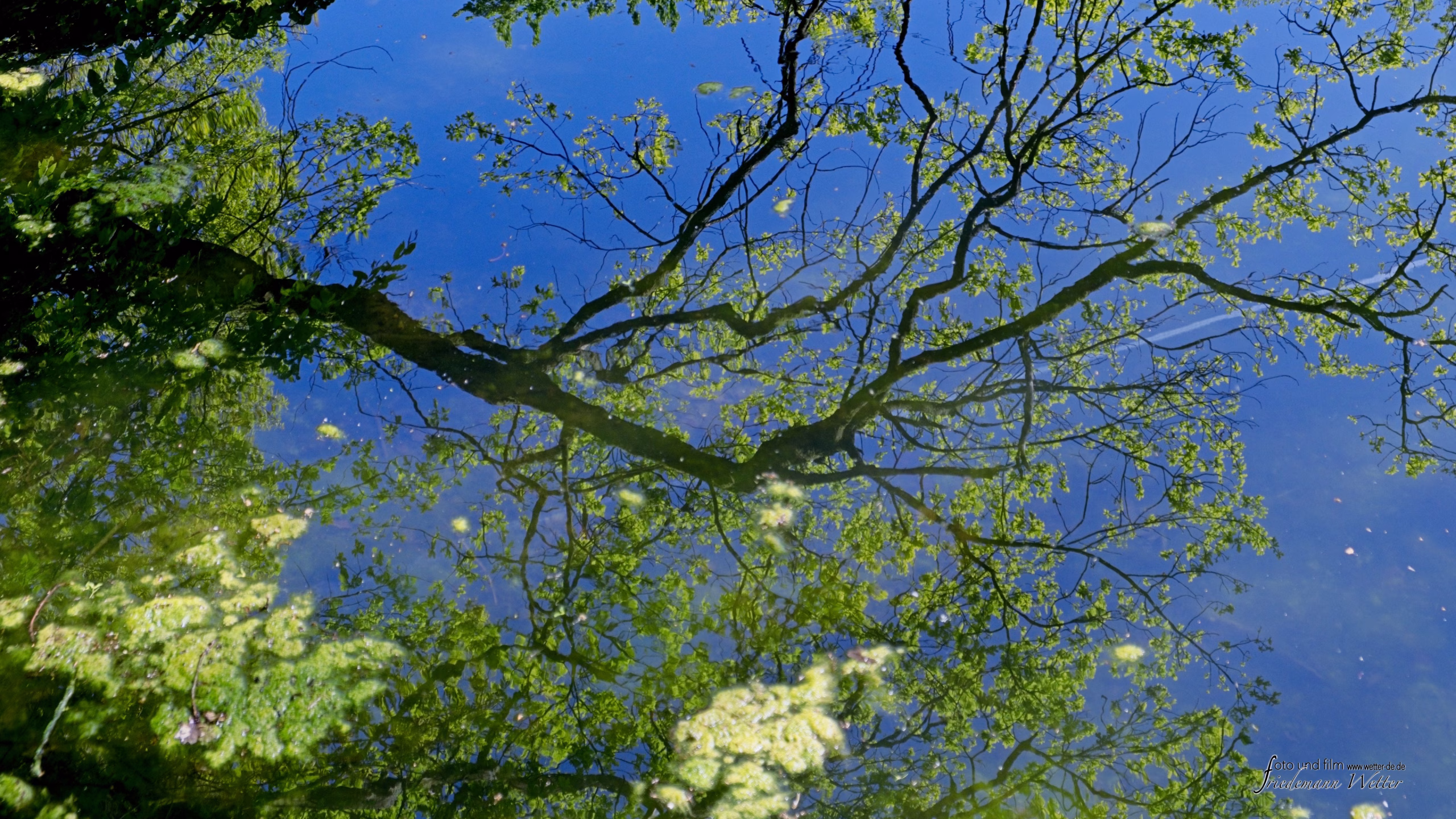 DSCF2138_X-T5