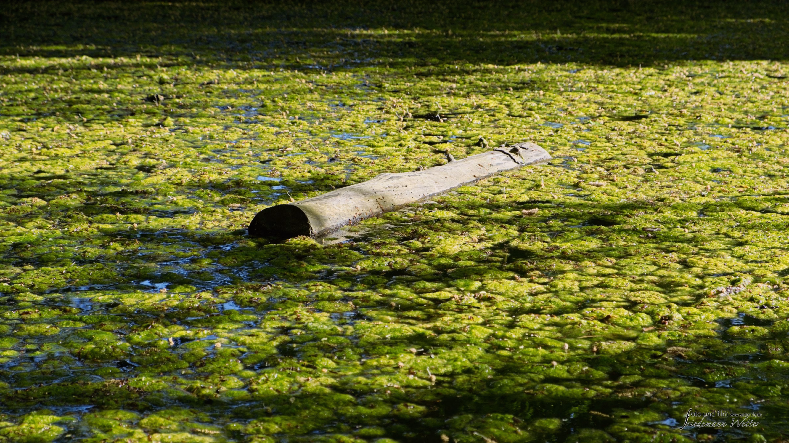 DSCF2239_X-T5
