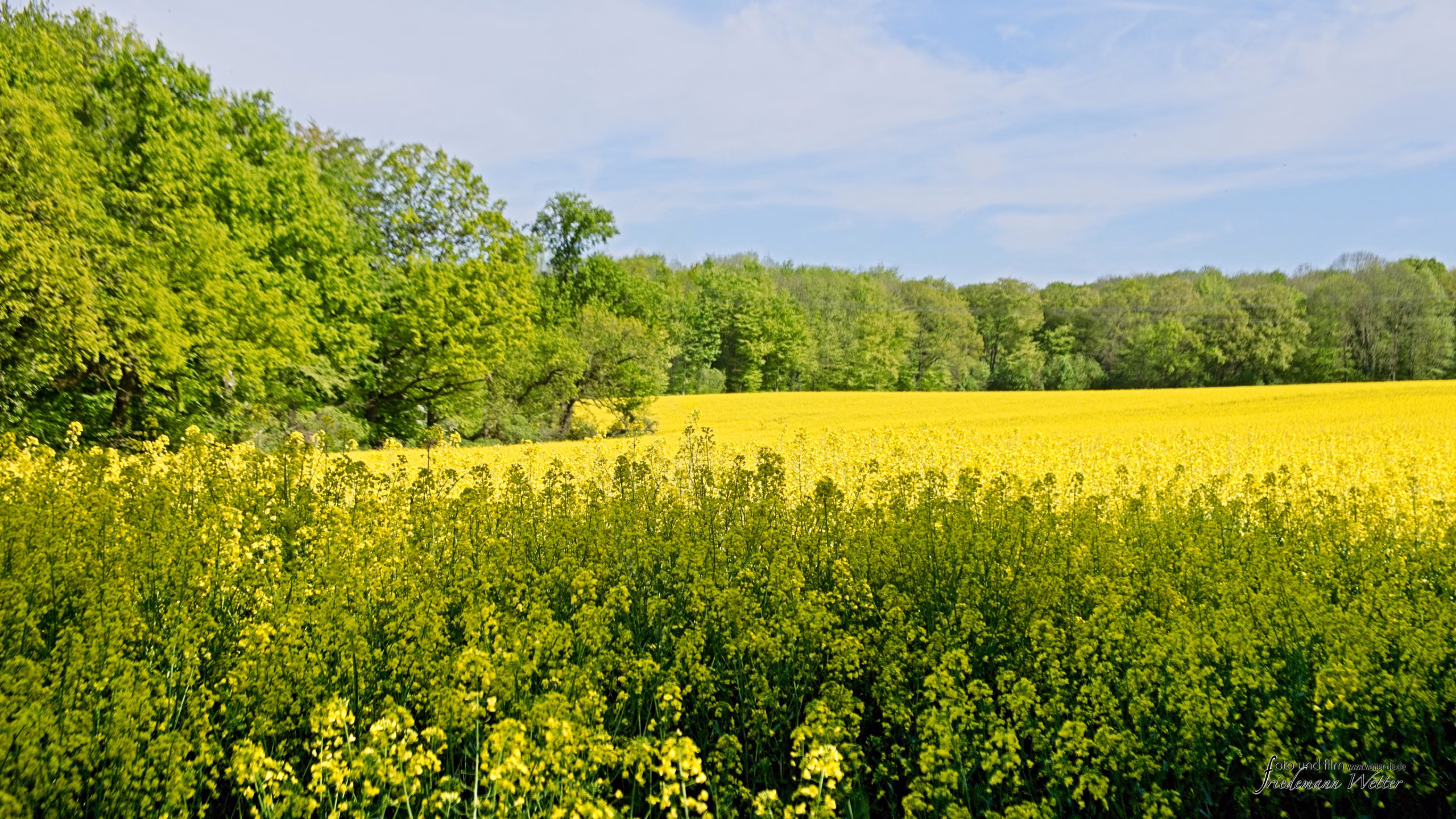 DSCF2262_X-T5