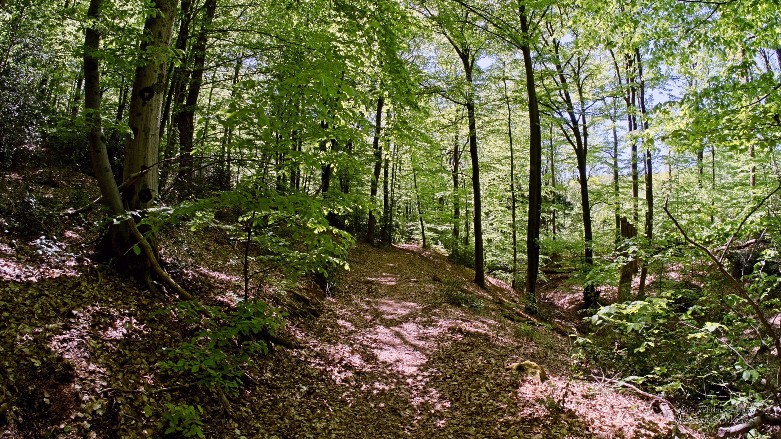 DSCF2593_X-T5