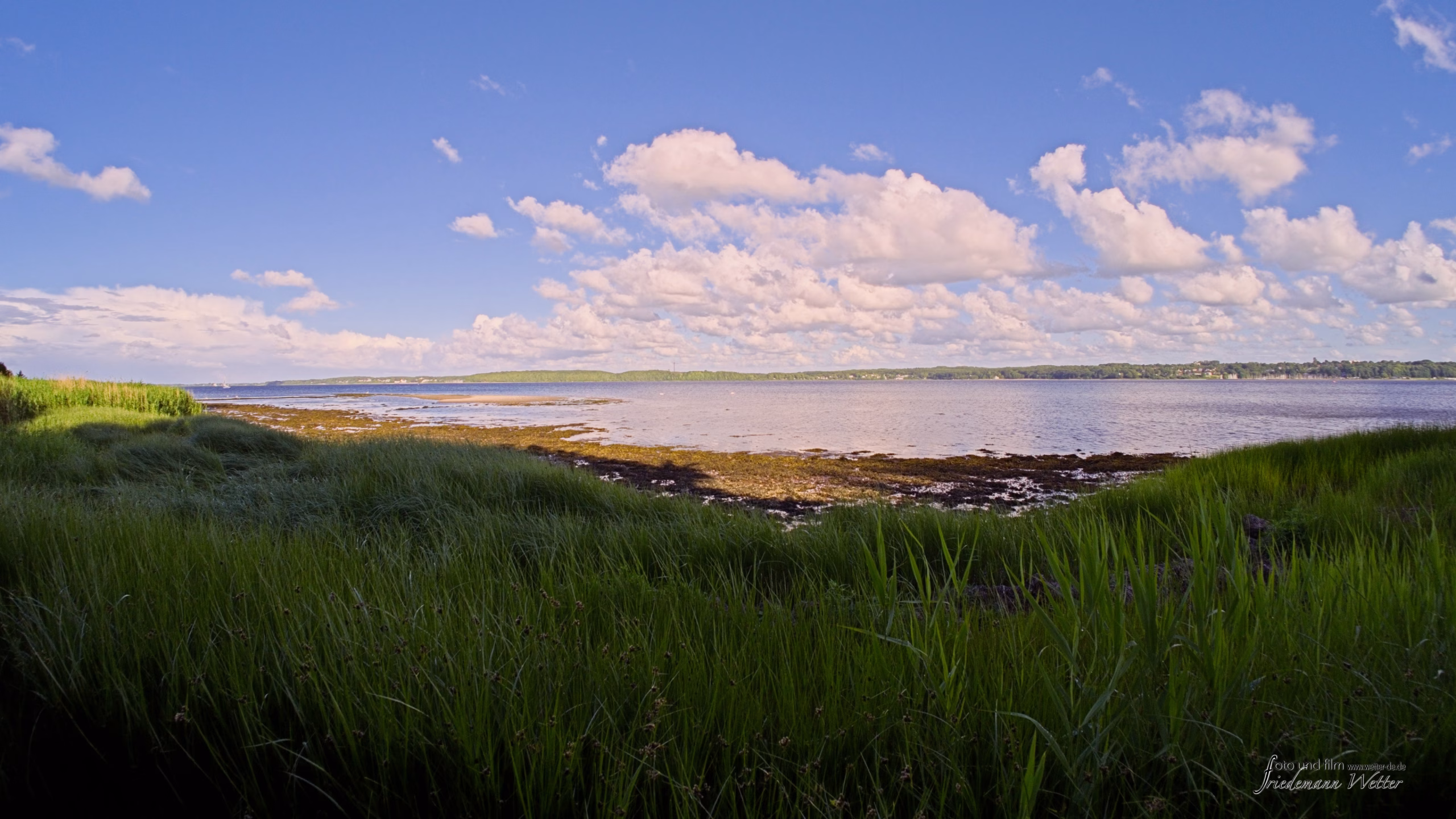Kollund-Strand--Dänemark