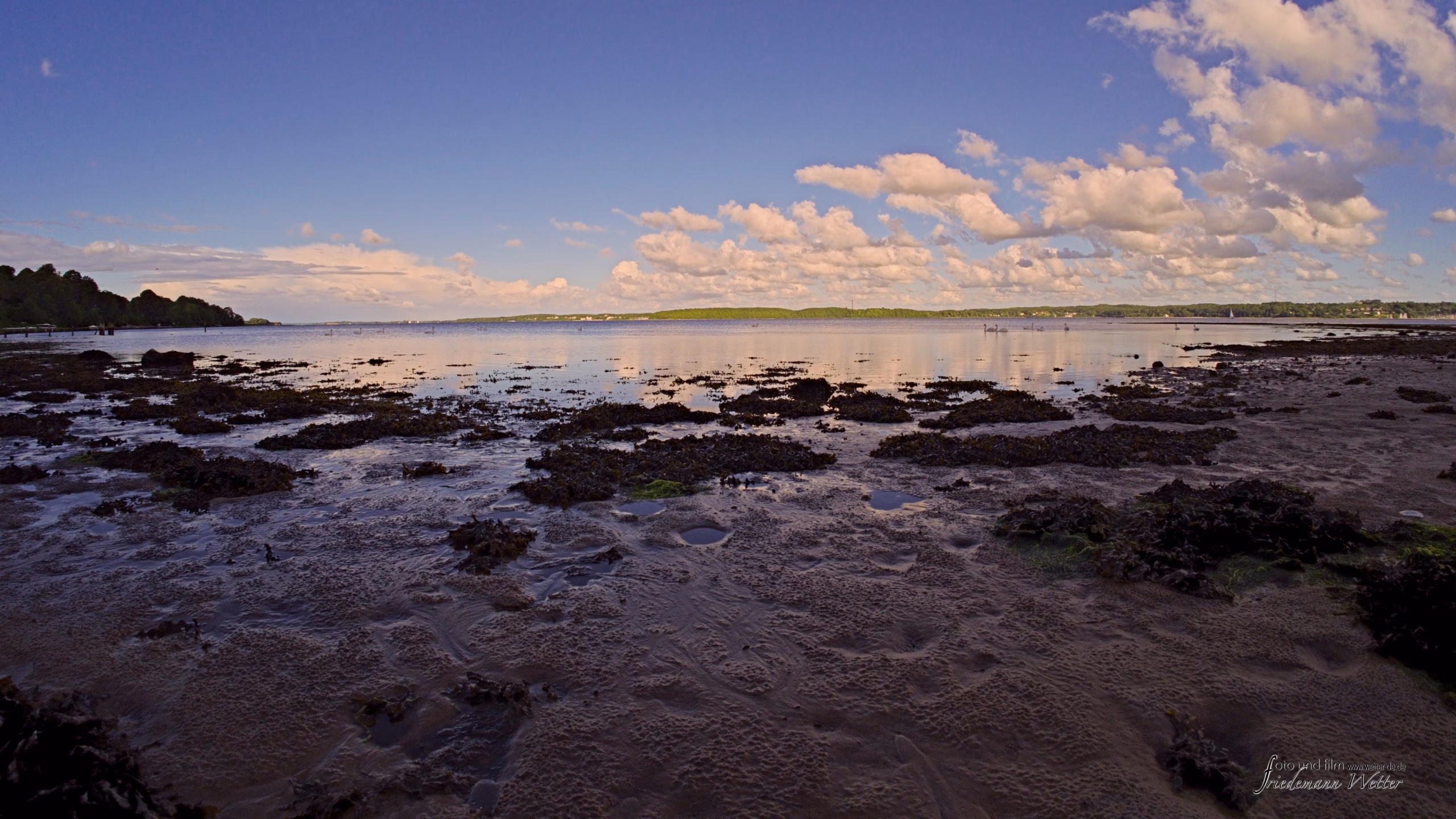 Kollund-Strand--Dänemark
