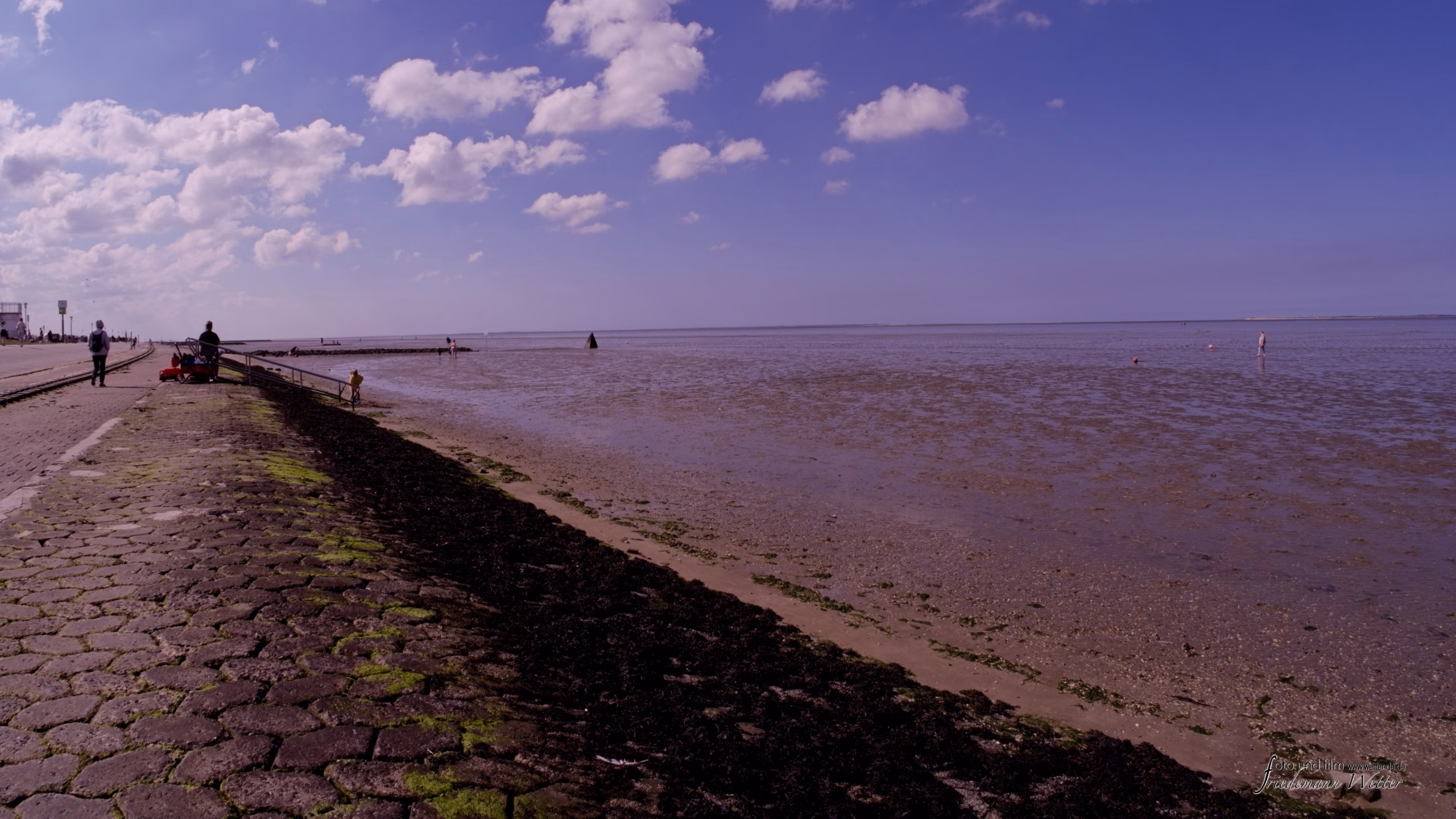 DSCF5437_X-T5