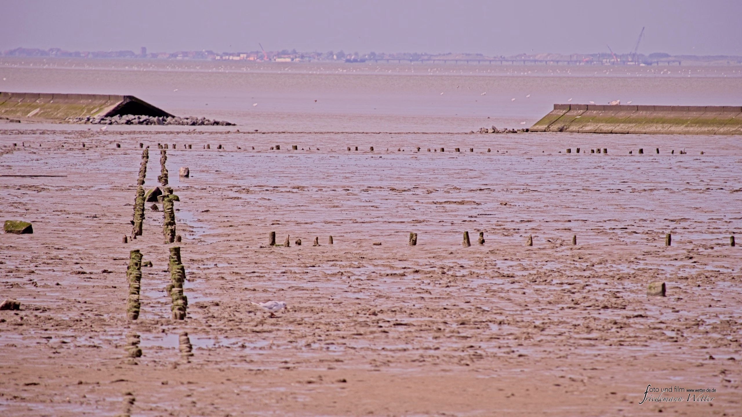 DSCF5468_X-T5