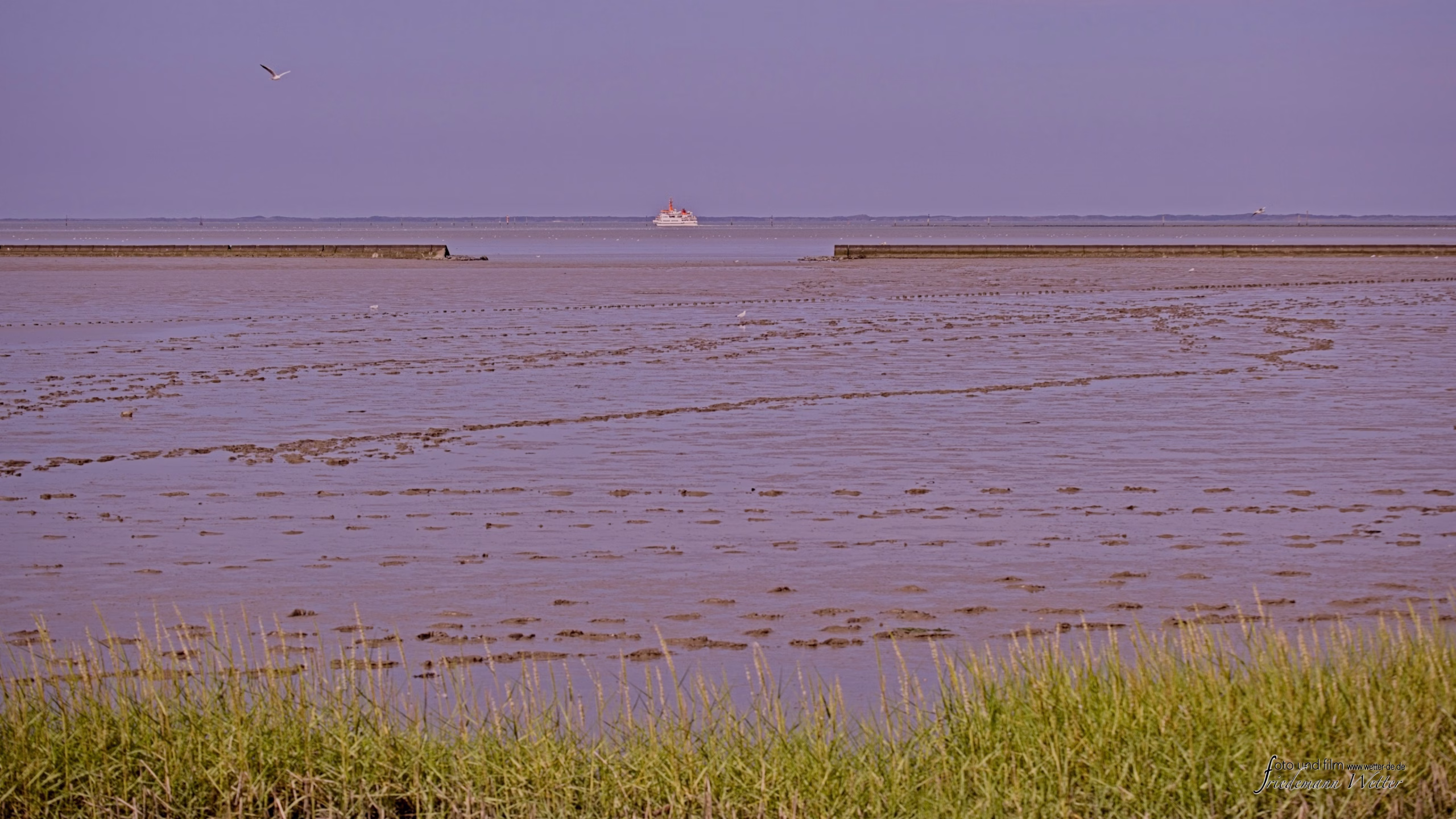 DSCF5472_X-T5