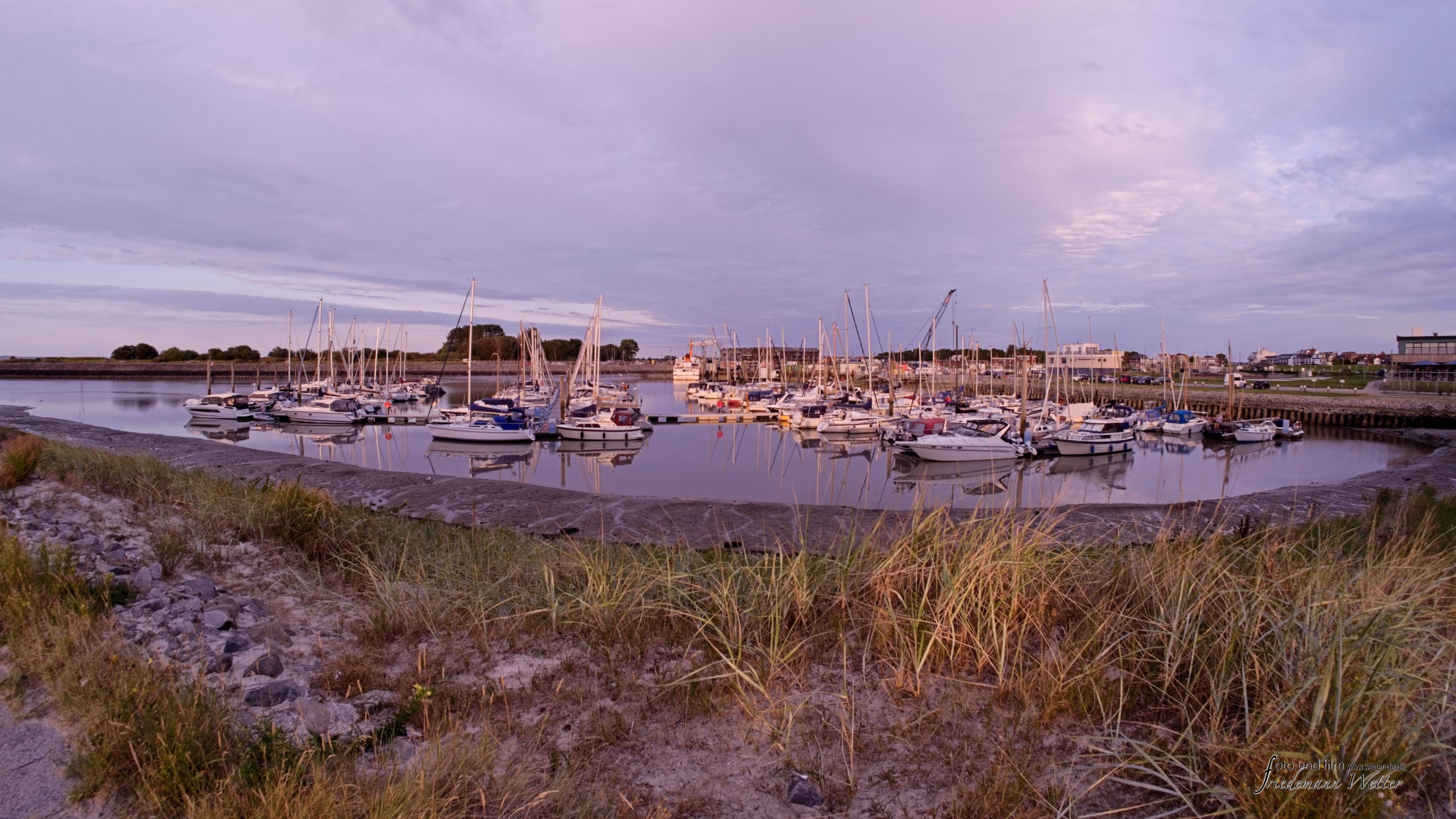 DSCF5483_X-T5