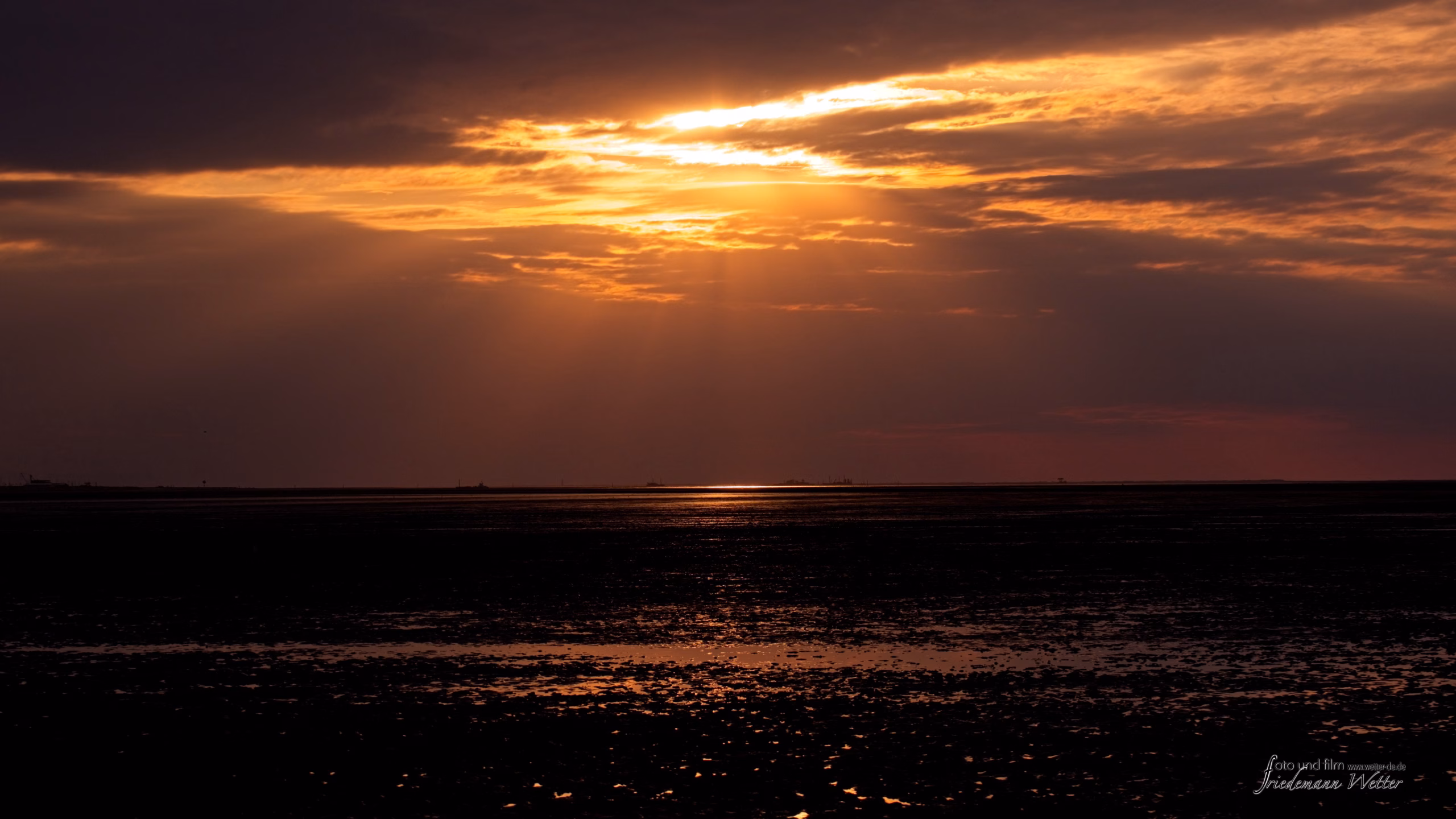 DSCF5499_X-T5