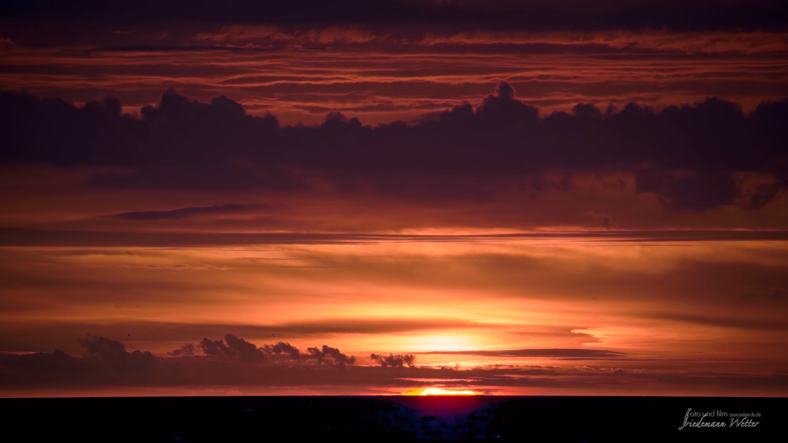 DSCF5738_X-T5