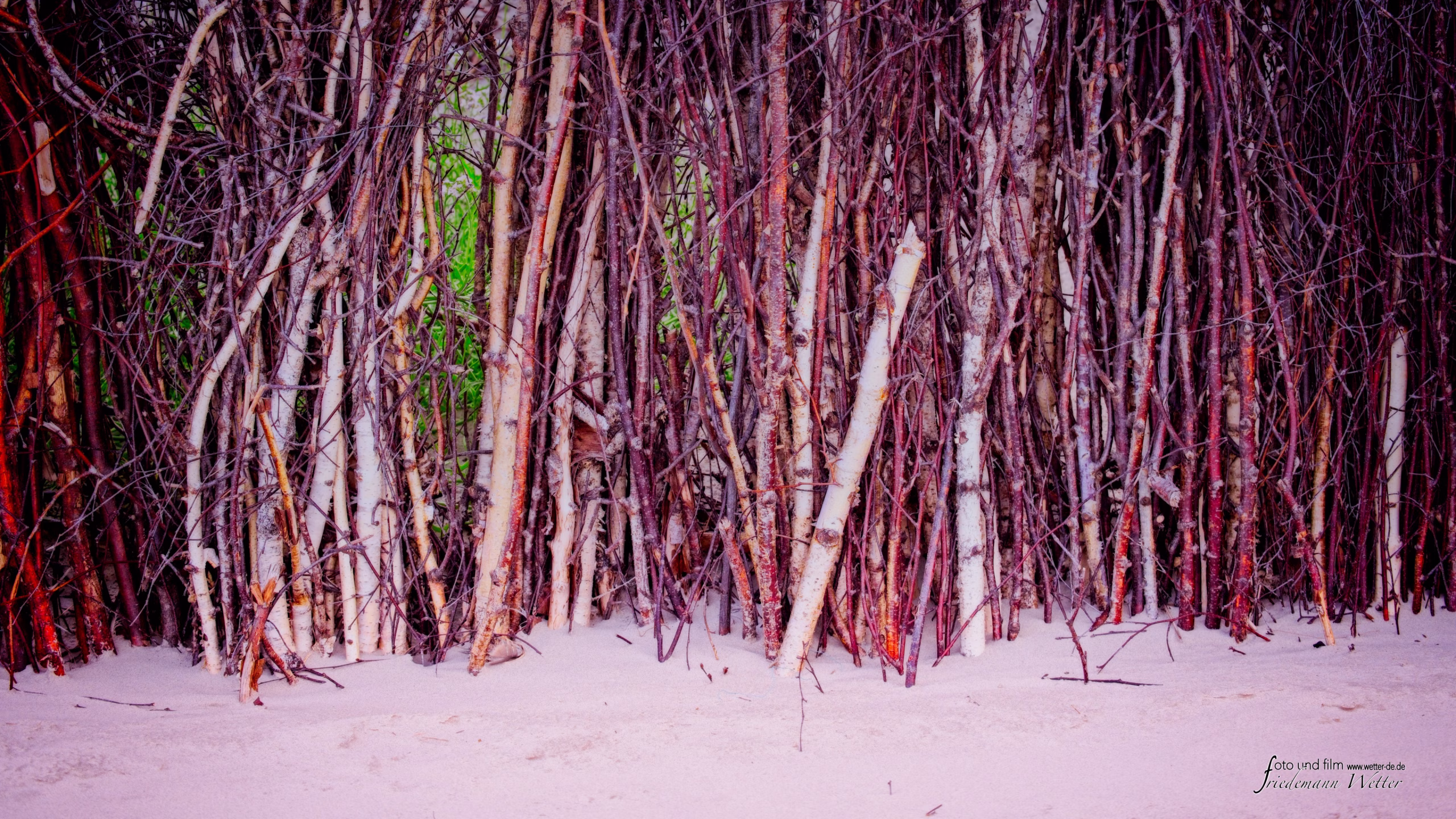 DSCF5982_X-T5
