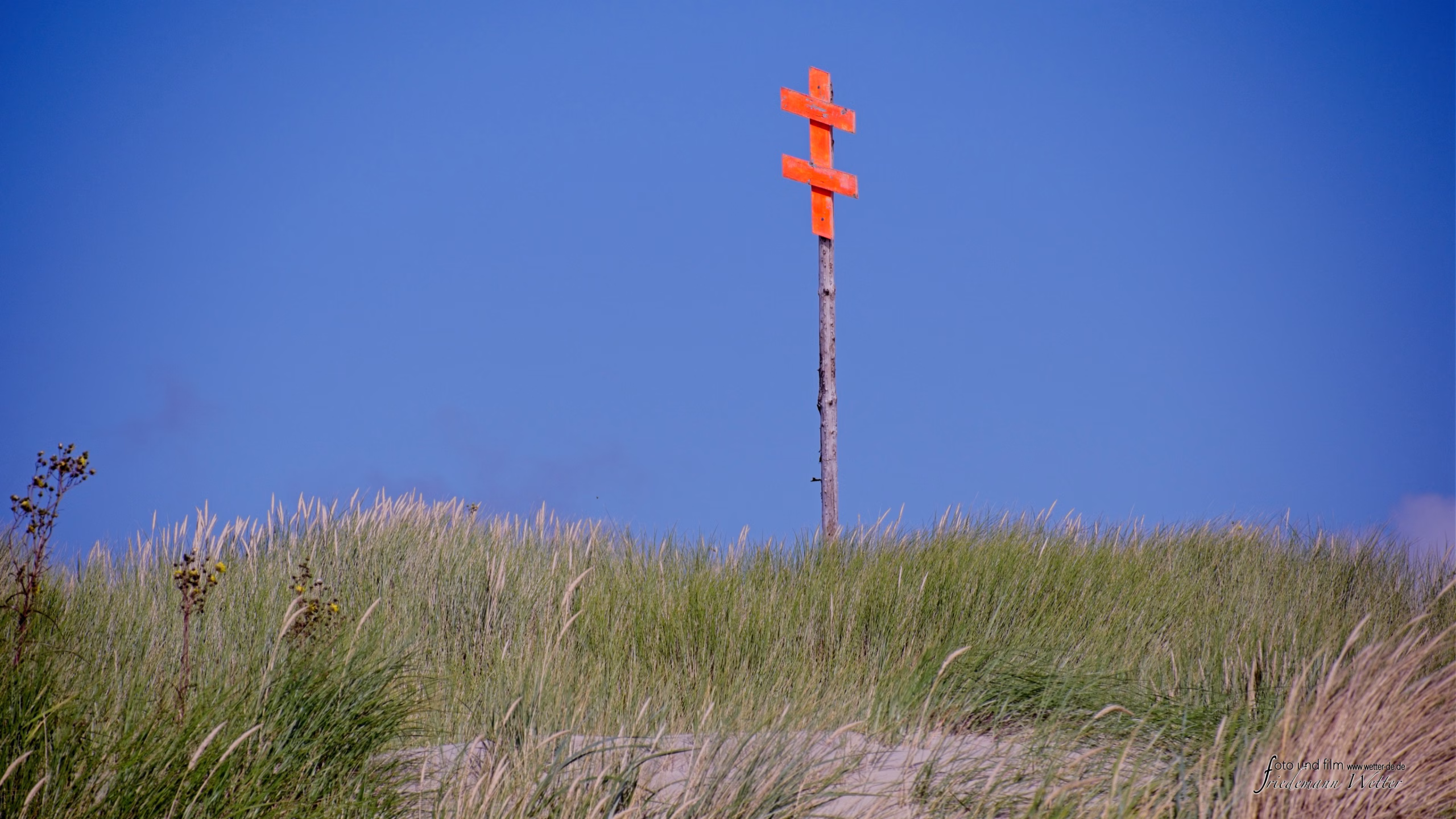 DSCF6075_X-T5
