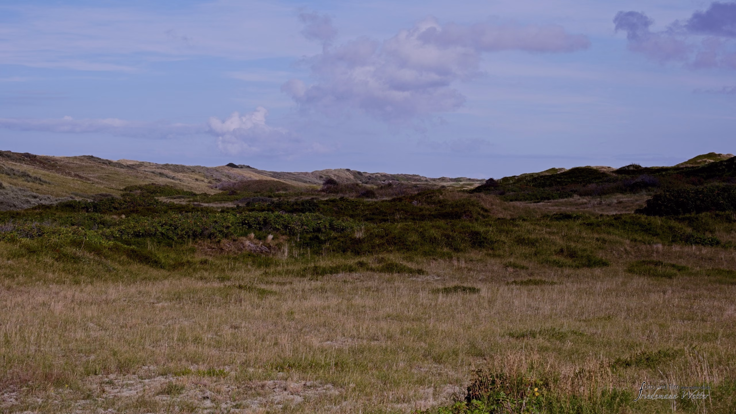 DSCF6128_X-T5